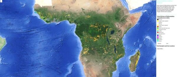How Is Deforested Land in Africa Used?